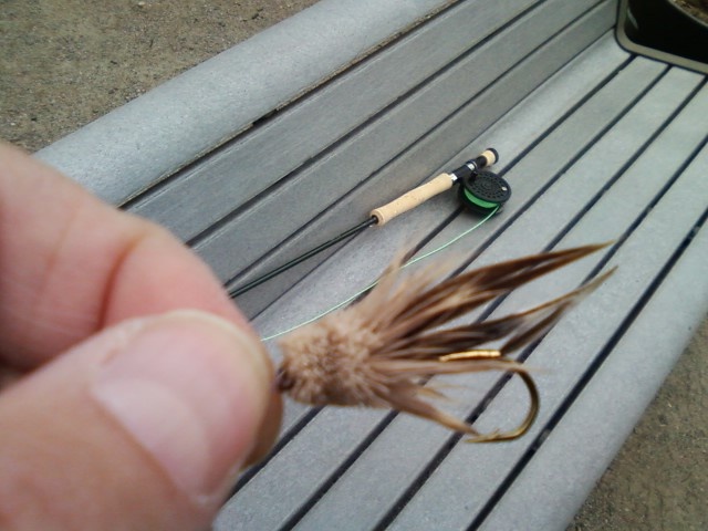 Popping bug fly