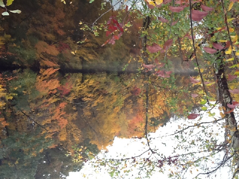 Back in the fall fishing at Newton 