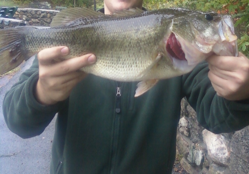 first jig bass 10-1-10