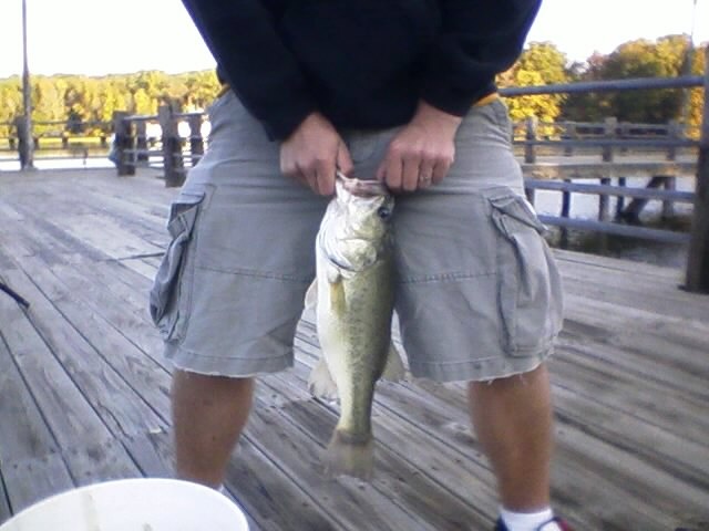 LARGEmouth 