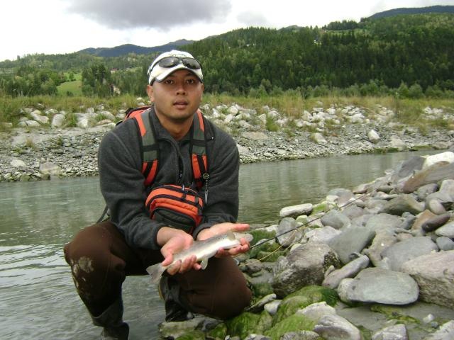 Austrian Brown Trout