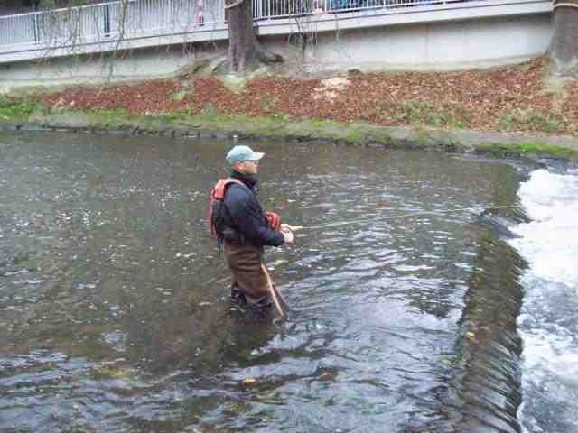 Fly Fishing for Graylings
