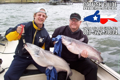 Texas Blue Catfish