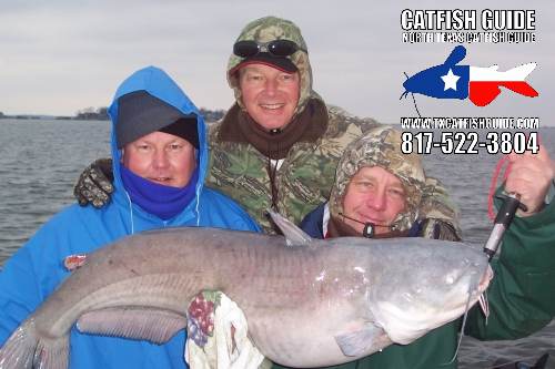 Monster Blue Catfish