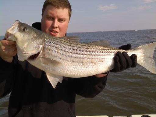 Delaware Bay