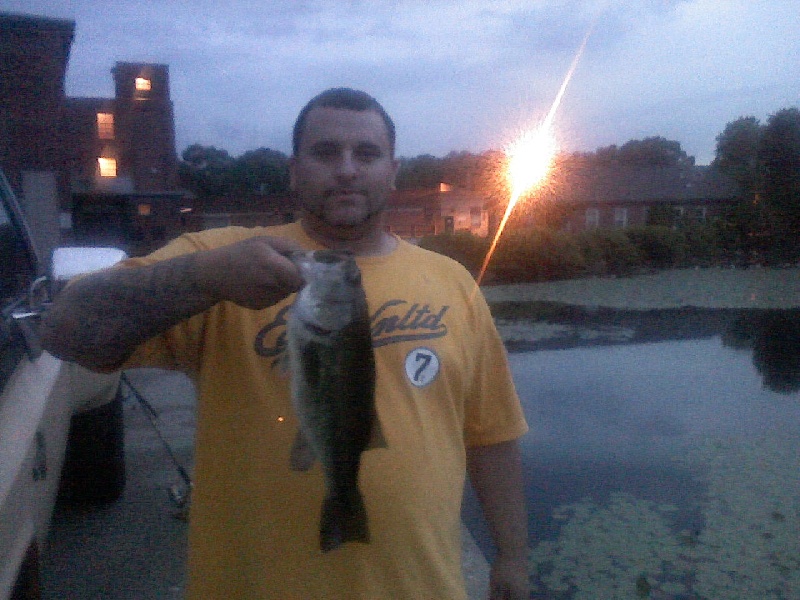 3.8 Pound